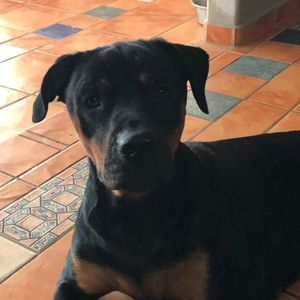 Meet your Posher, Ariel